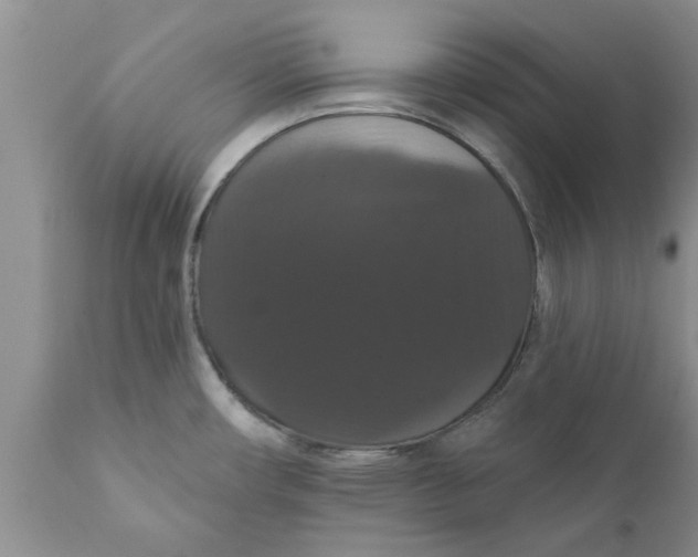 X0000111911482200908171250