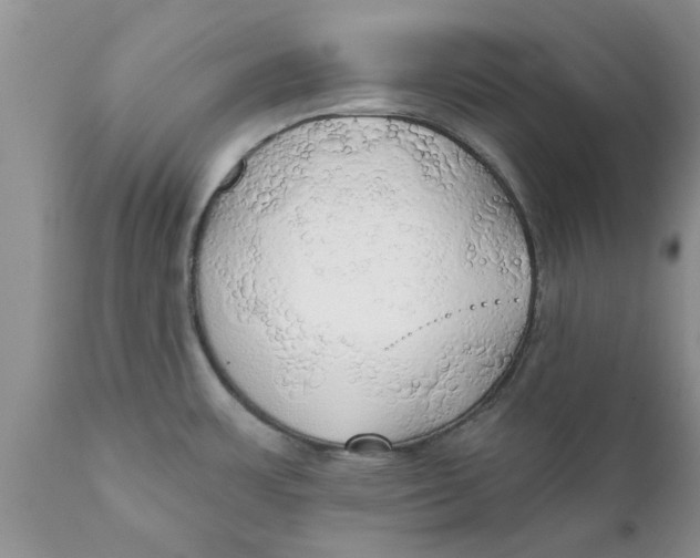 X0000111911483200908171250