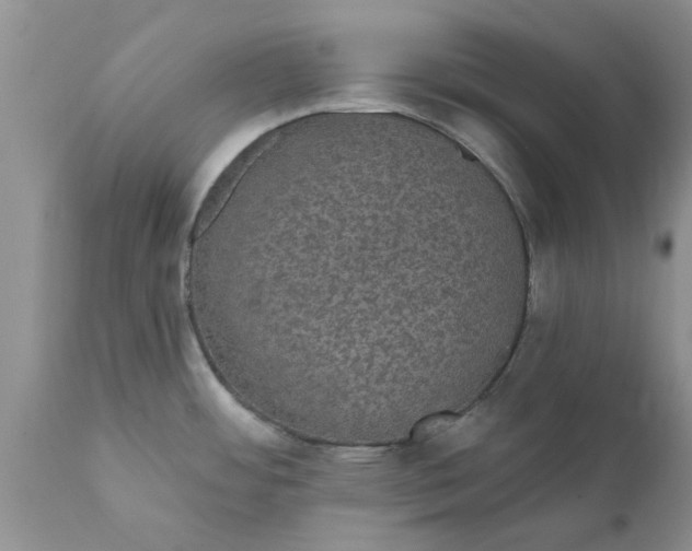 X0000111911484200908171250