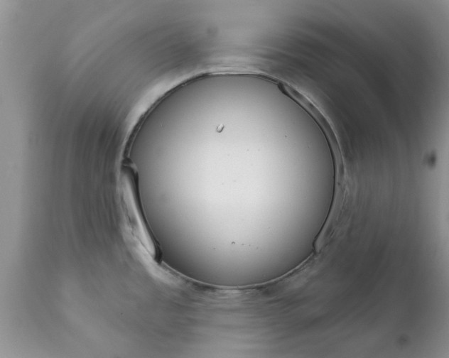 X0000111911485200908171250