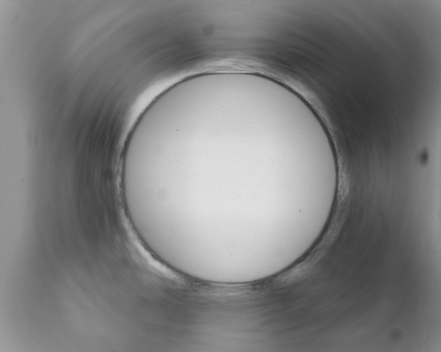 X0000111911486200908171250