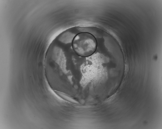 X0000111911487200908171250