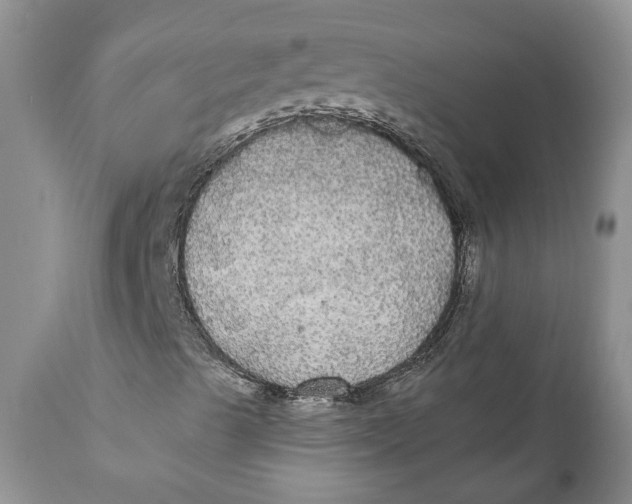 X0000111911489200908171249