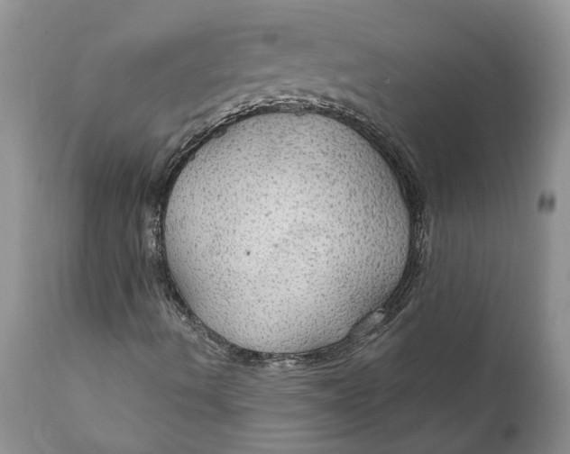 X0000111911490200908171249