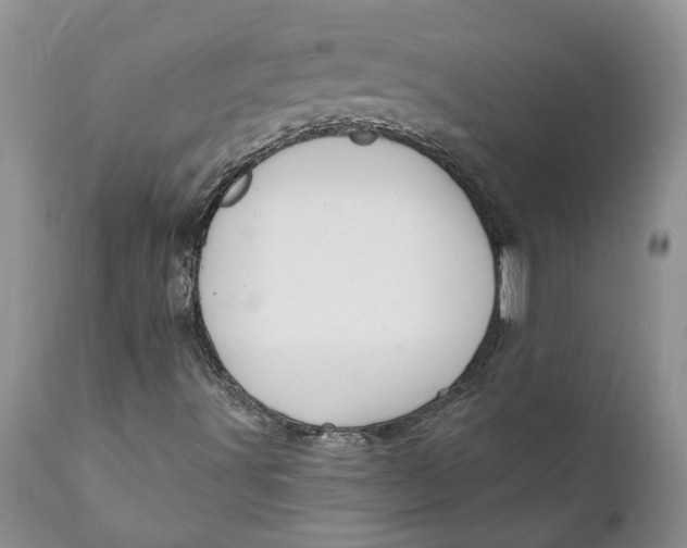 X0000111911491200908171249