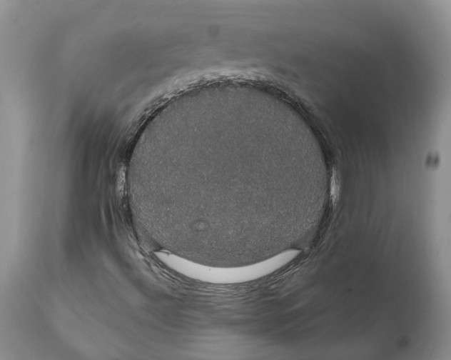 X0000111911492200908171249