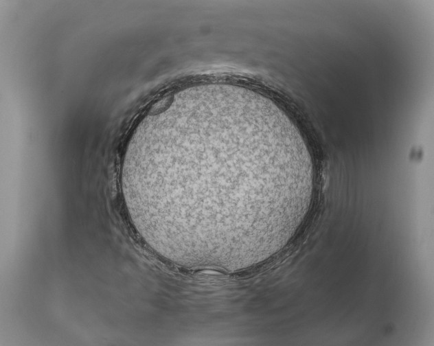 X0000111911493200908171249