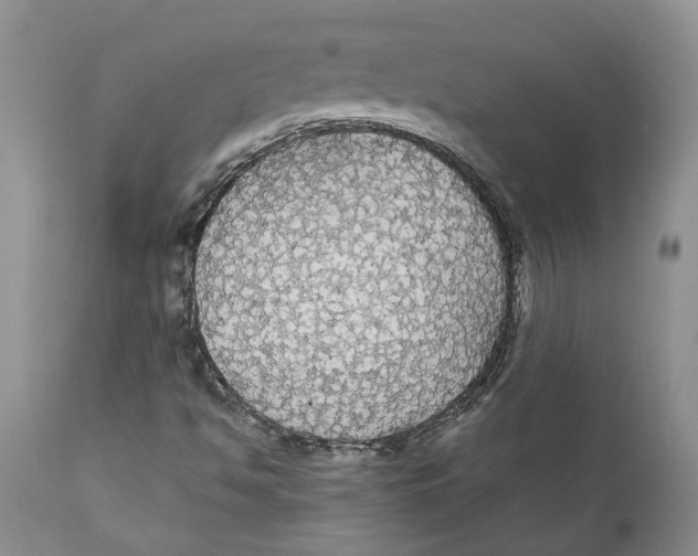 X0000111911494200908171249