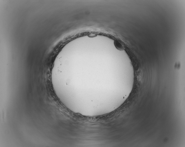 X0000111911495200908171249