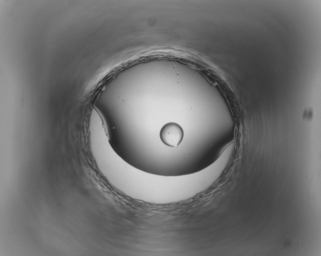 X0000111911496200908171249