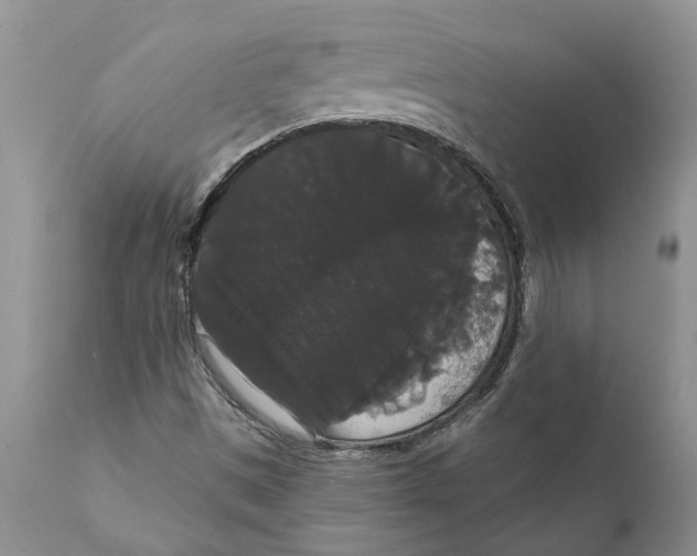 X0000111911497200908171249