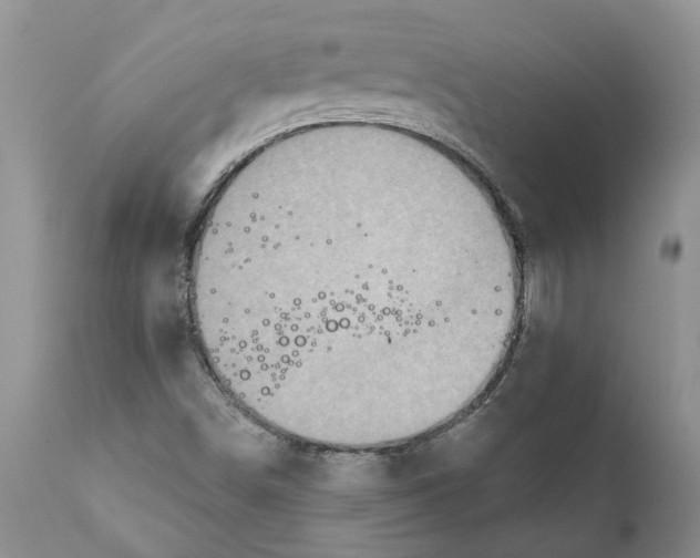 X0000111911498200908171249