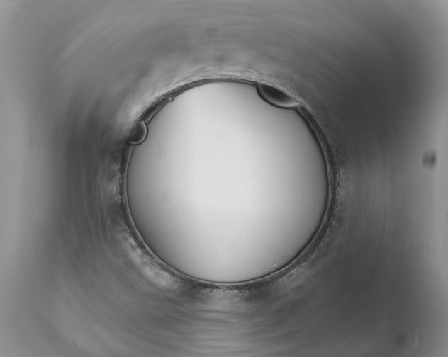 X0000111911499200908171250