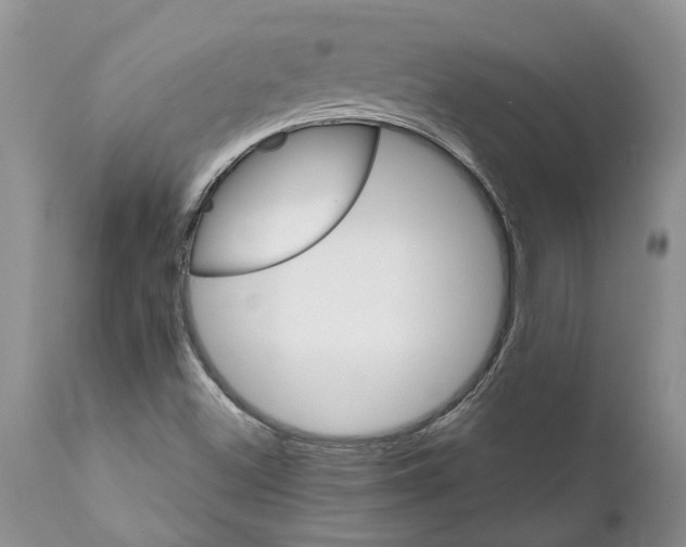 X0000111911500200908171250