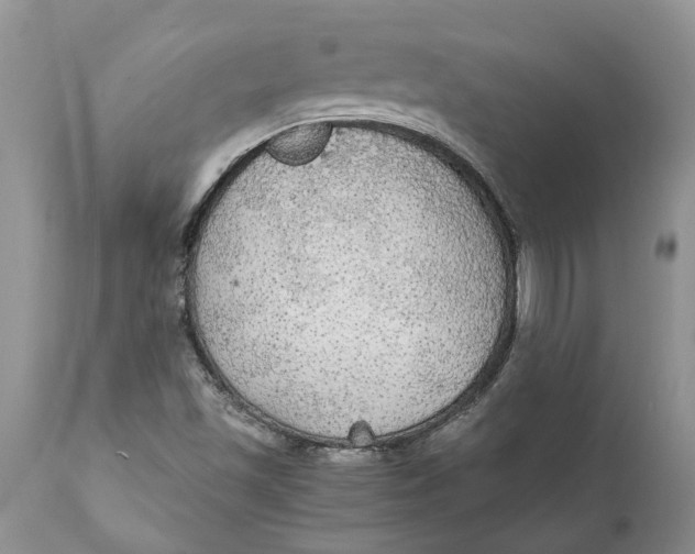 X0000111911501200908171250