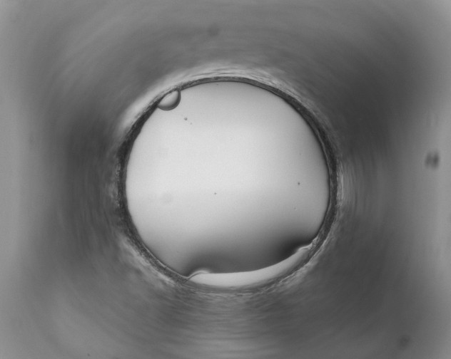 X0000111911502200908171250