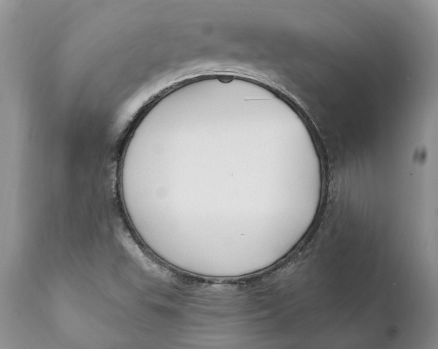 X0000111911503200908171250