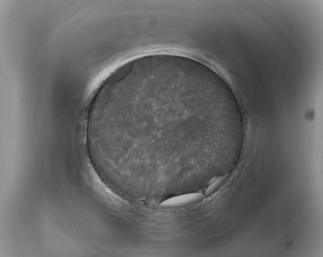 X0000111911504200908171250