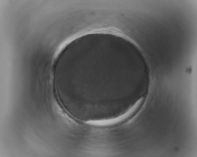 X0000111911506200908171250