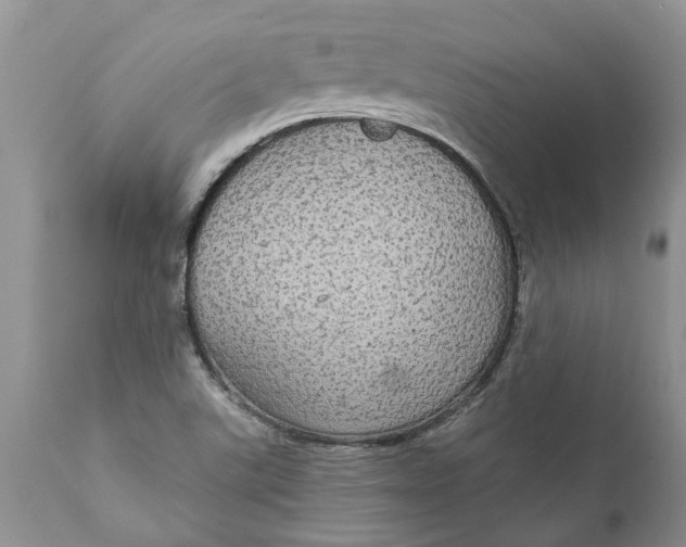 X0000111911507200908171250