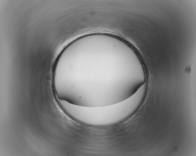 X0000111911508200908171250