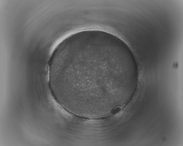 X0000111911510200908171250