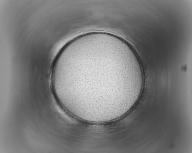 X0000111911511200908171250