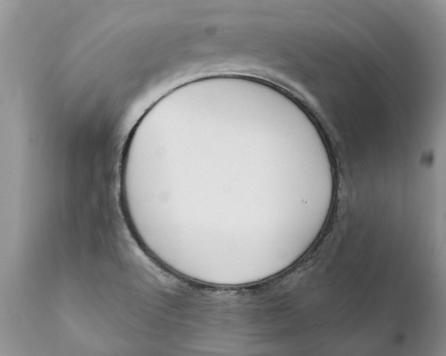 X0000111911512200908171250