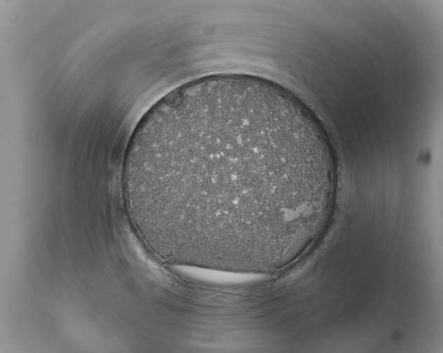 X0000111911513200908171250