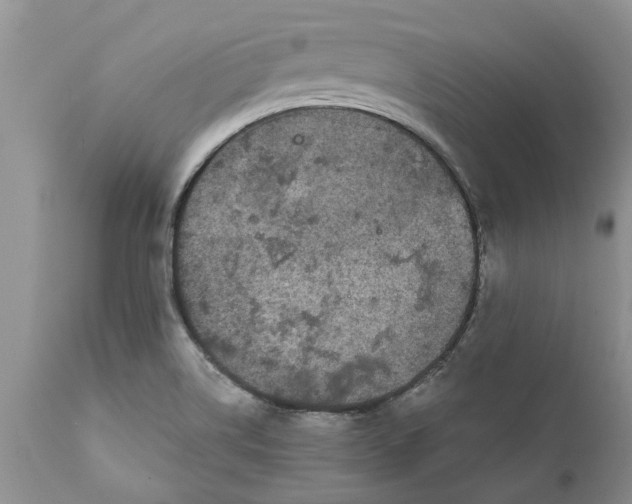 X0000111911514200908171250