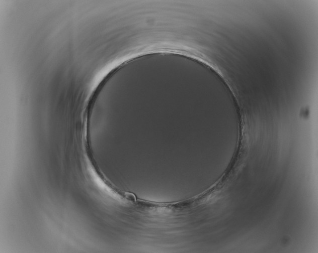 X0000111911515200908171250