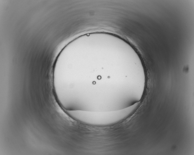 X0000111911516200908171250