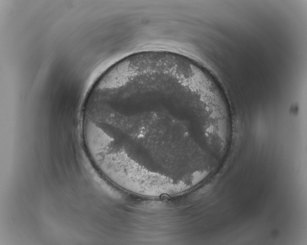 X0000111911517200908171250