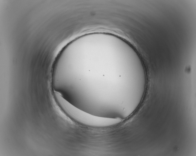 X0000111911518200908171250