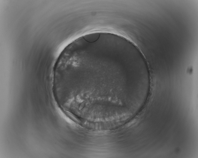 X0000111911519200908171250