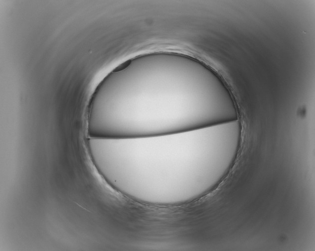 X0000111911520200908171250