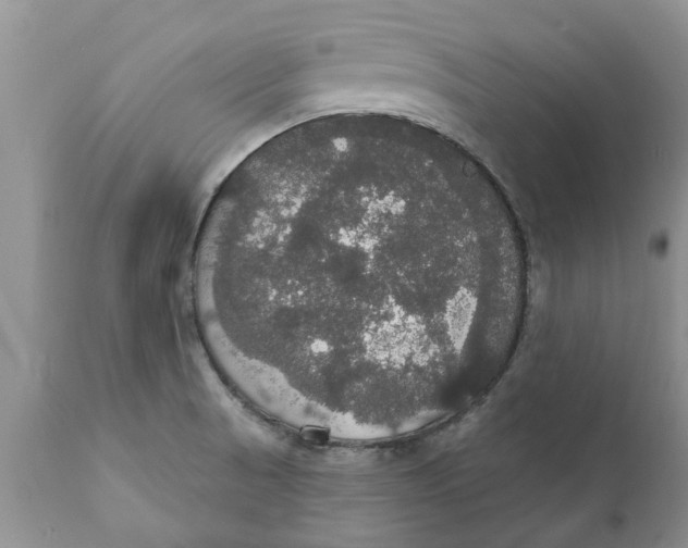 X0000111911521200908171250