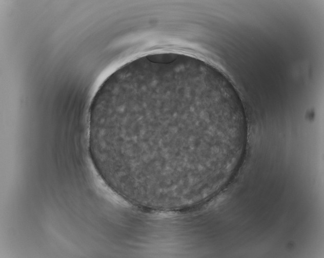 X0000111911522200908171250