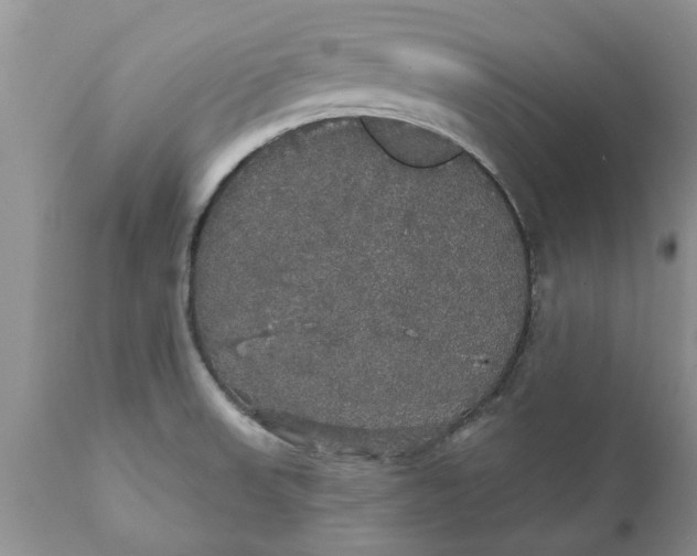 X0000111911523200908171250