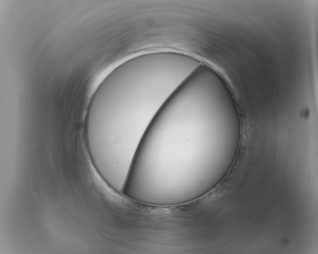 X0000111911524200908171250