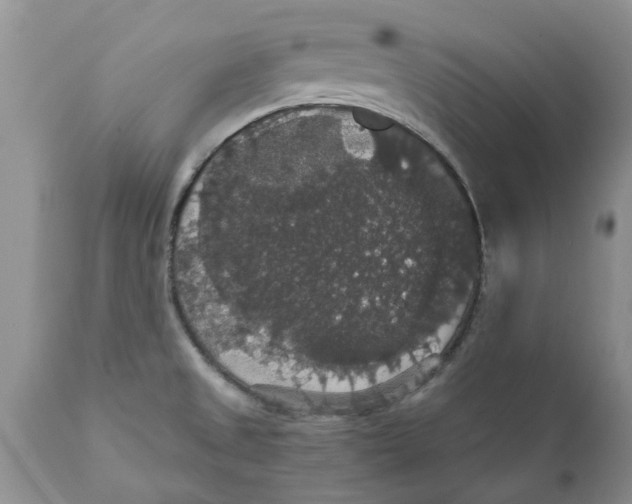 X0000111911525200908171250