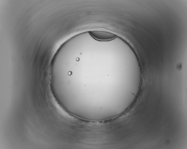 X0000111911526200908171250