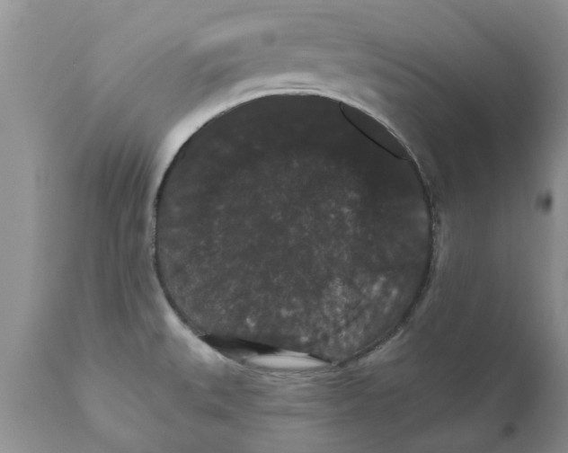 X0000111911527200908171250