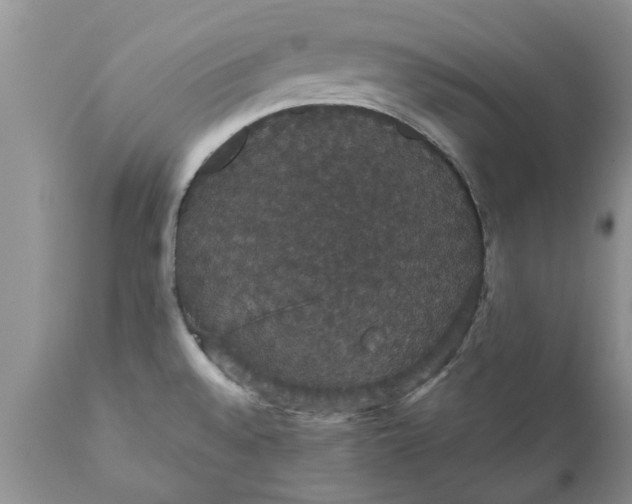 X0000111911528200908171250