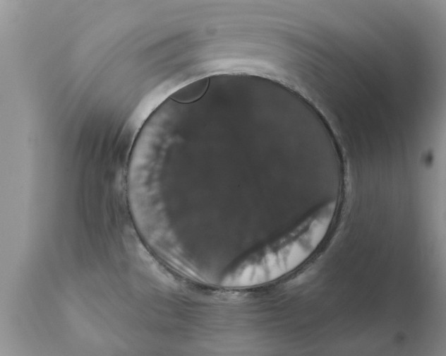 X0000111911529200908171250