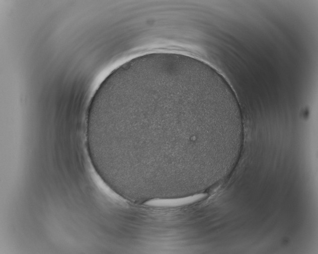 X0000111911531200908171250