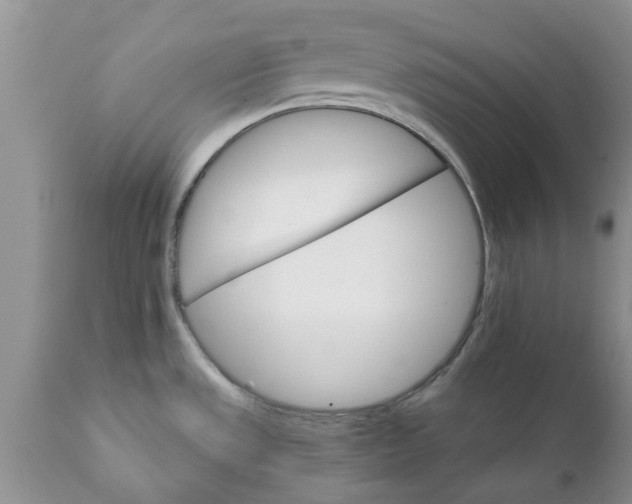 X0000111911533200908171250