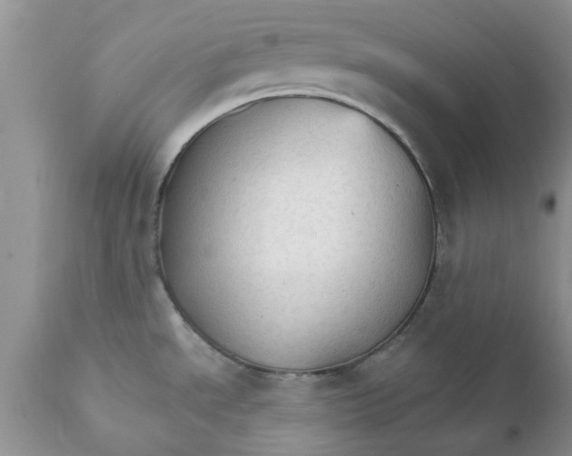 X0000111911534200908171250