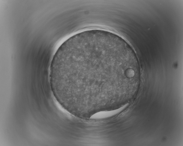 X0000111911535200908171250