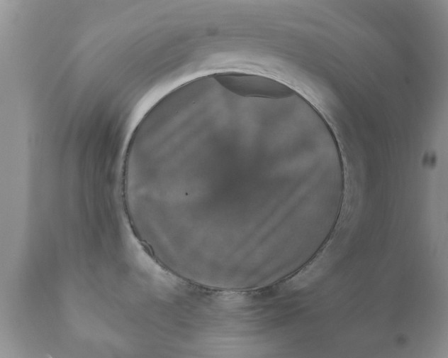 X0000111911536200908171250